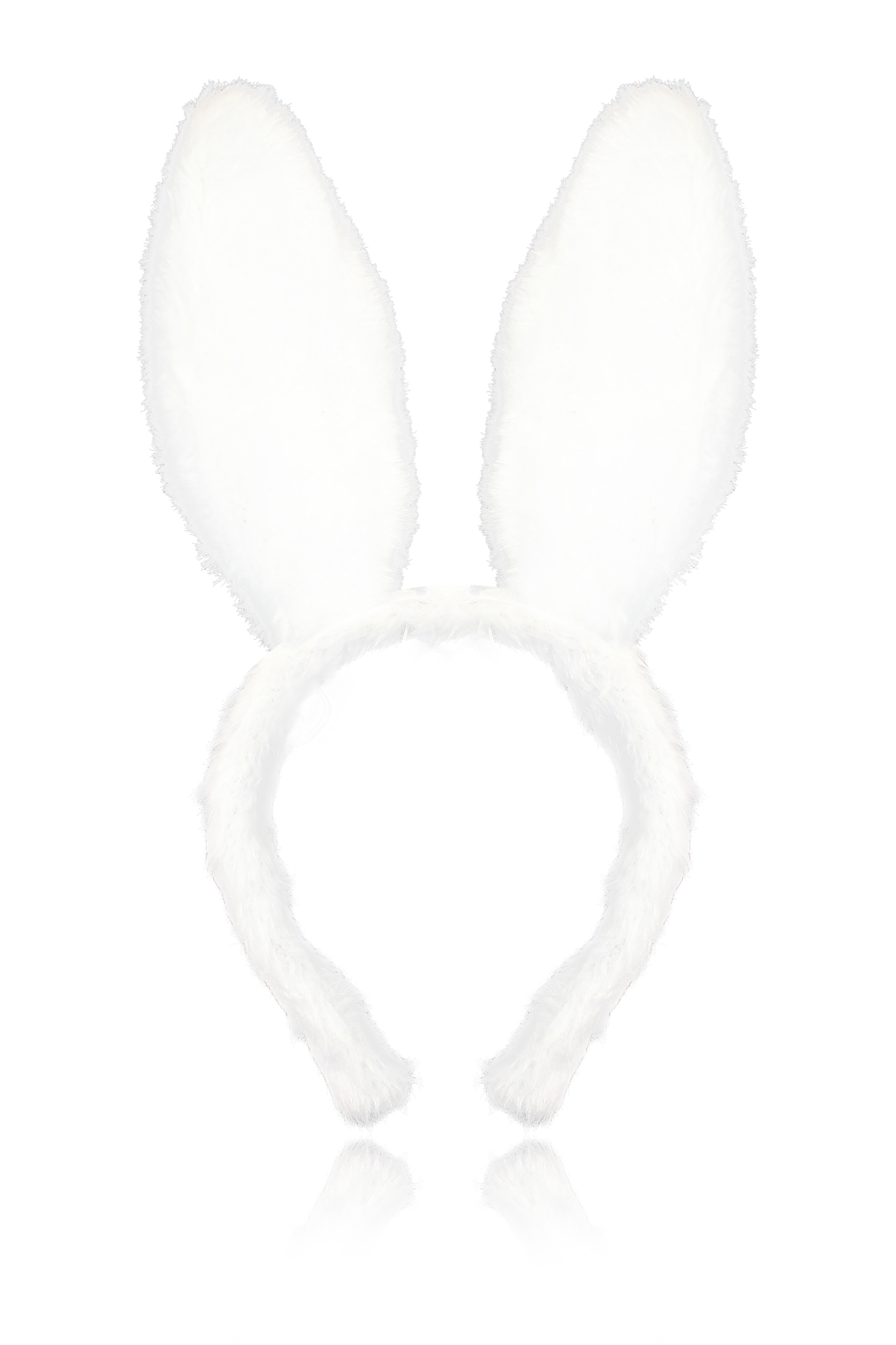 קשתות אזניים ססגוניו