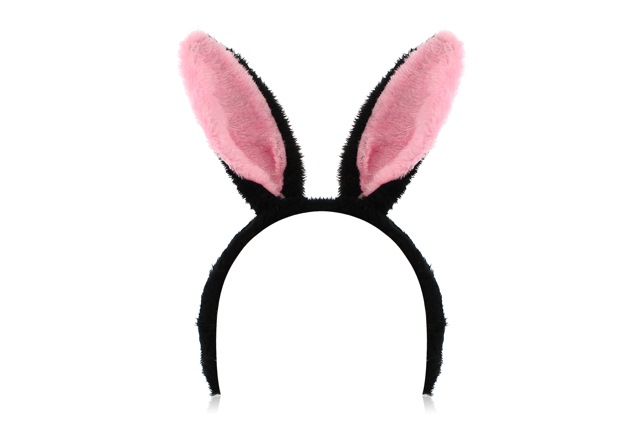 קשתות אזניים ססגוניות